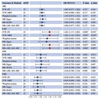 Genetically predicted small dense low-density lipoprotein cholesterol and ischemic stroke subtype: multivariable Mendelian randomization study